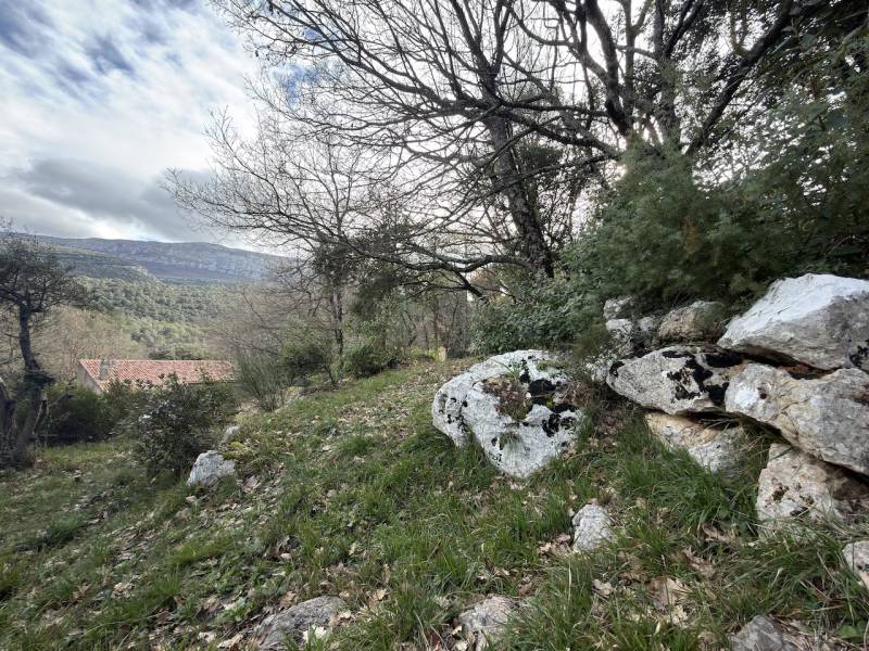 Nans les Pins - Vue panoramique et grand terrain – Maison de caractère à révéler